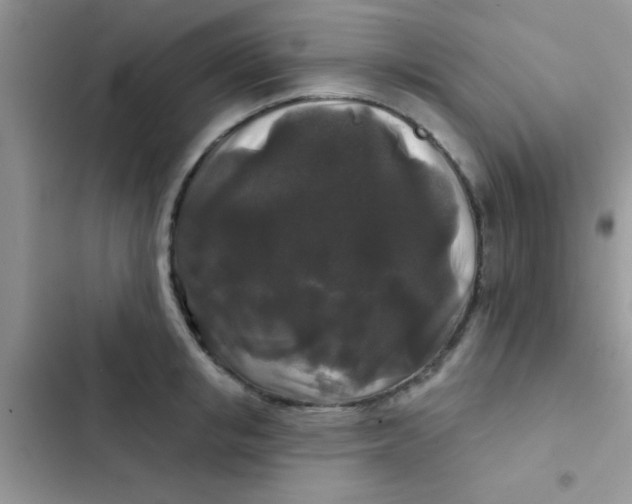 X0000102540853200808221927