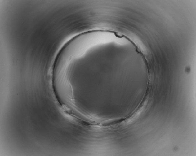 X0000102540854200808221927
