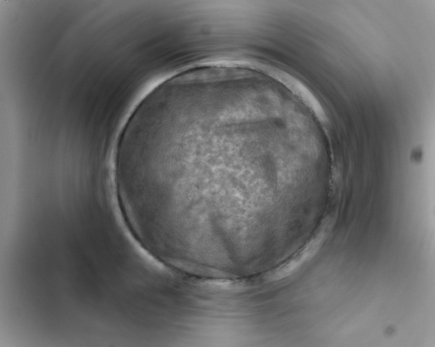 X0000102540855200808221927