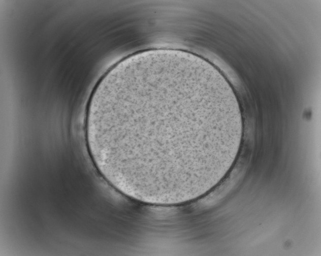 X0000102540856200808221927