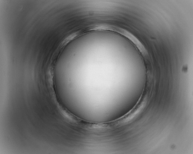 X0000102540857200808221927
