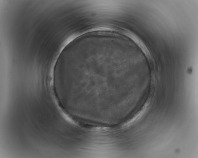 X0000102540858200808221927