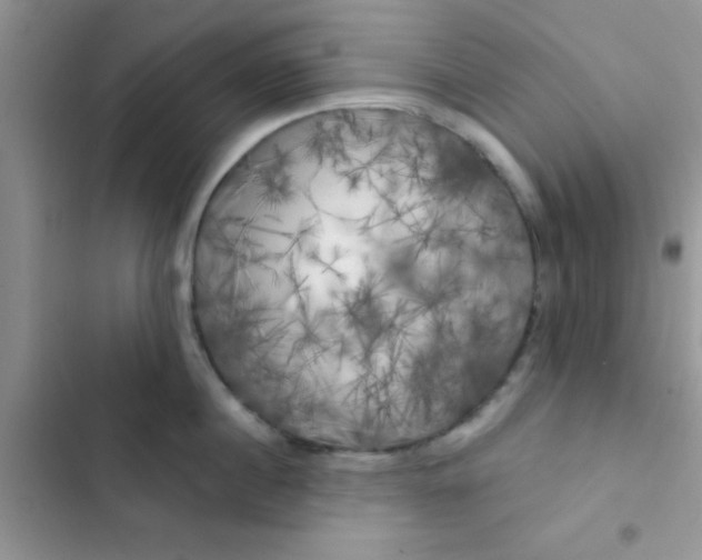 X0000102540860200808221927