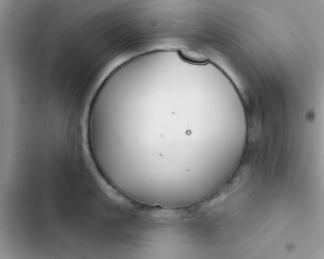 X0000102540861200808221927