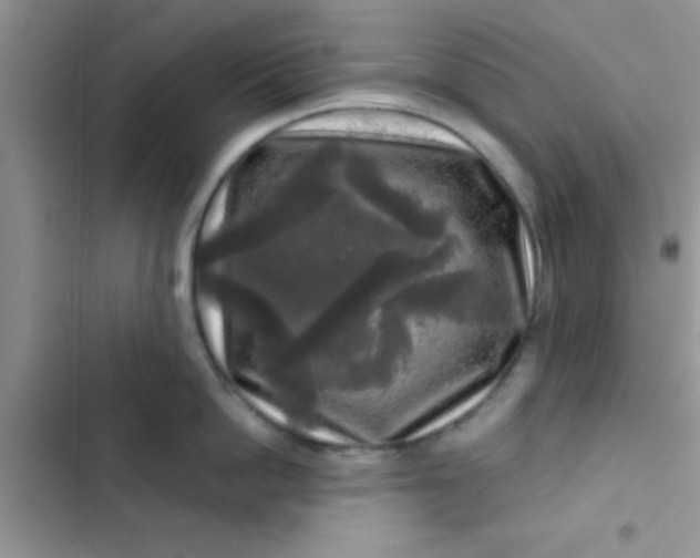 X0000102540862200808221927