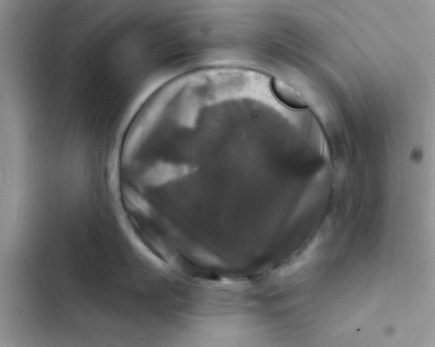 X0000102540863200808221927