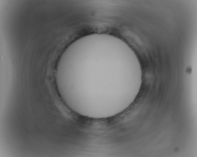 X0000102540865200808221927