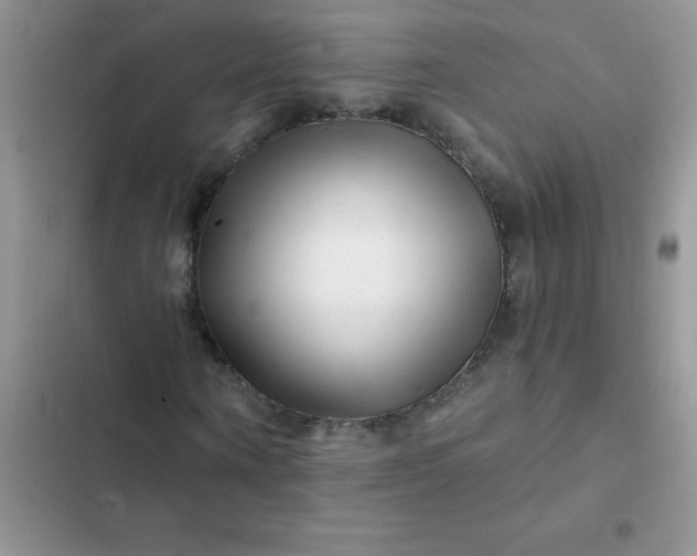 X0000102540866200808221927