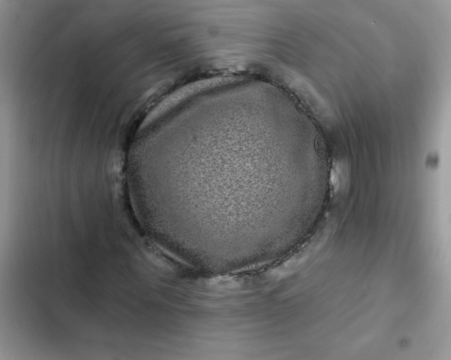 X0000102540867200808221927