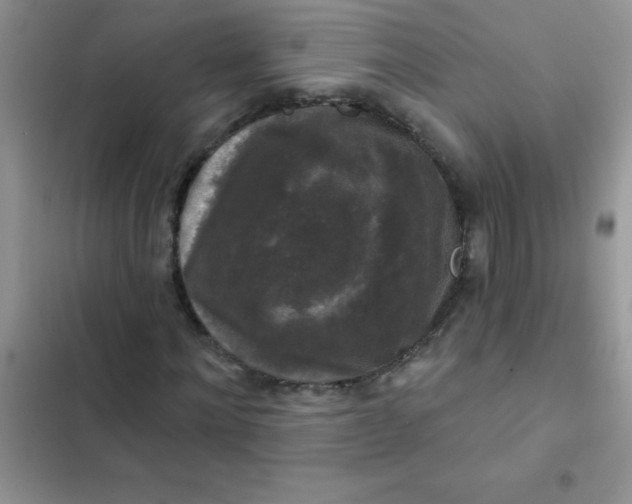 X0000102540868200808221927