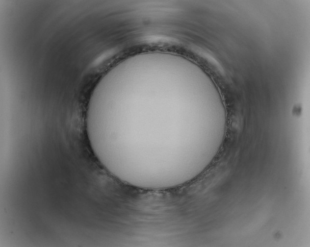 X0000102540869200808221927