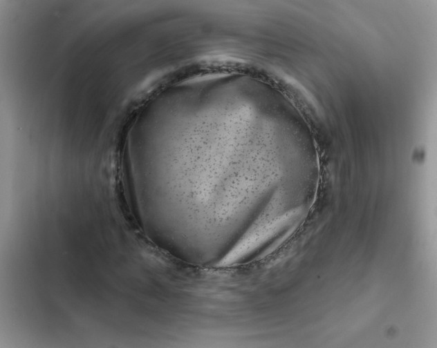 X0000102540870200808221927