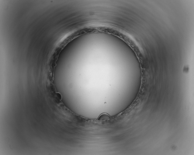 X0000102540871200808221927