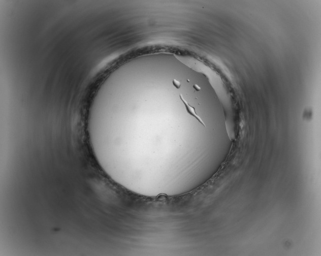 X0000102540872200808221927