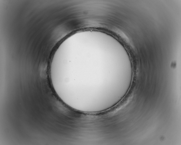 X0000102540873200808221926