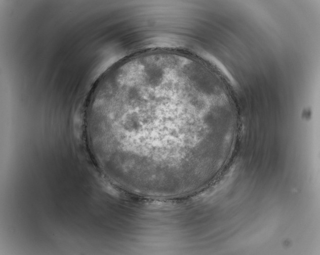X0000102540874200808221926