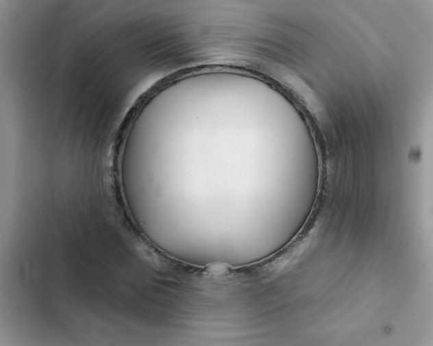 X0000102540875200808221926