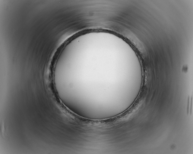 X0000102540876200808221926
