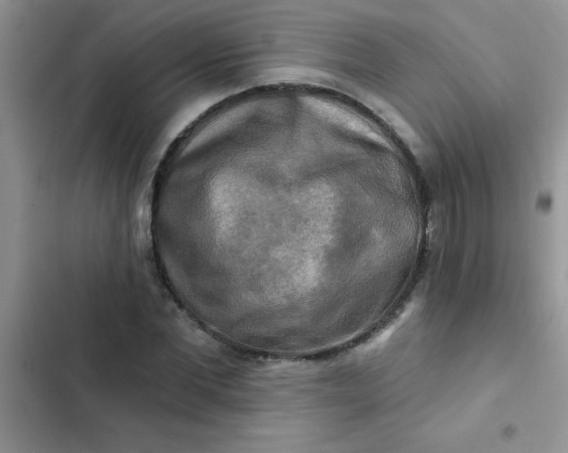 X0000102540877200808221926