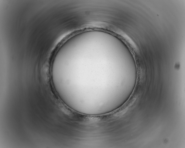X0000102540878200808221926