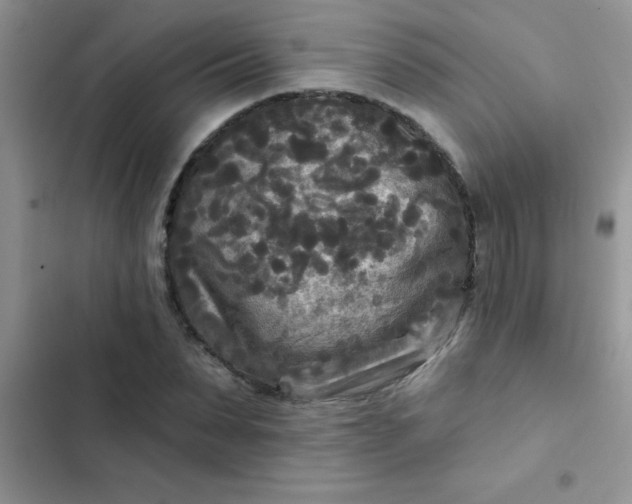X0000102540879200808221926