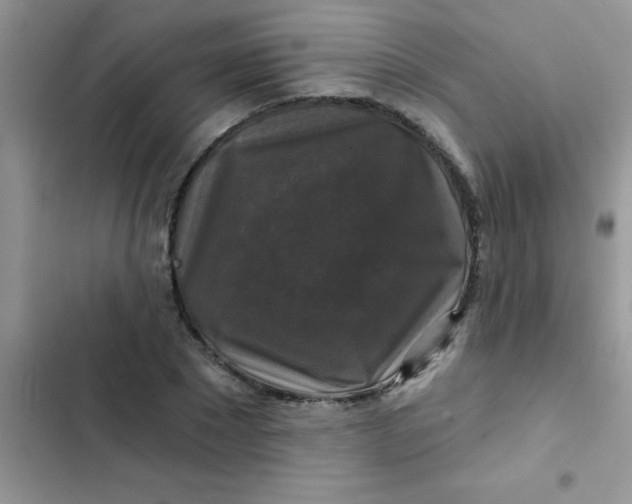 X0000102540881200808221926