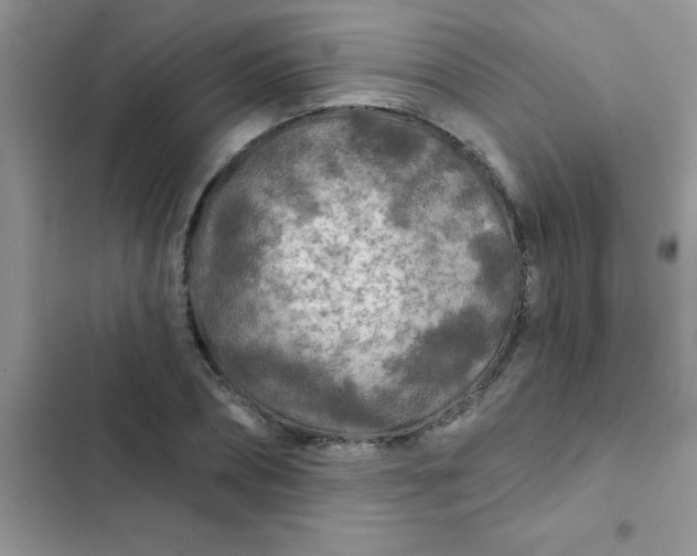 X0000102540882200808221926