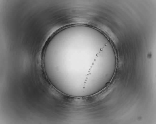 X0000102540883200808221926
