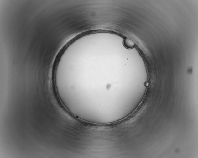 X0000102540884200808221926