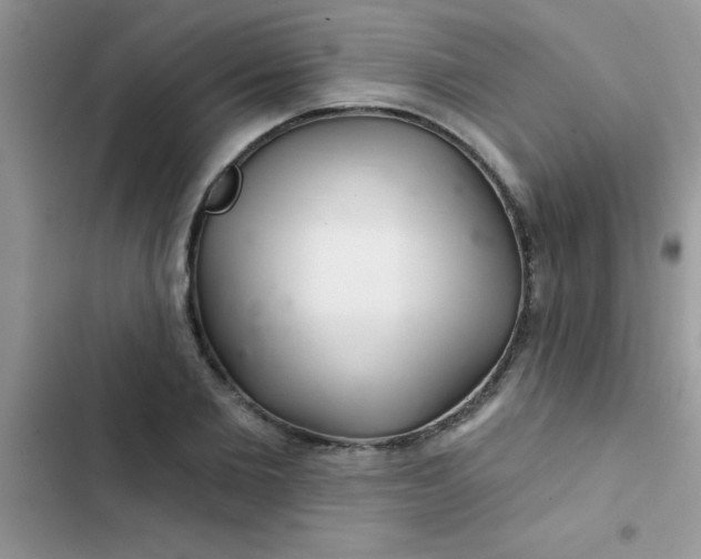 X0000102540885200808221926