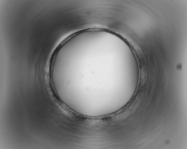 X0000102540886200808221926