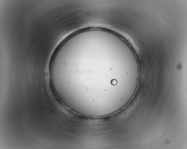 X0000102540887200808221926