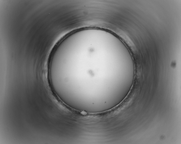 X0000102540888200808221926