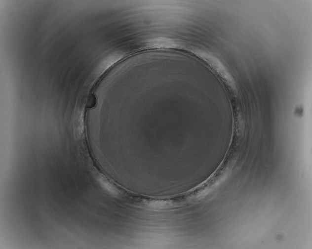 X0000102540889200808221926