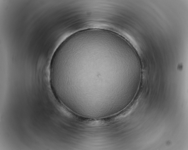 X0000102540891200808221926