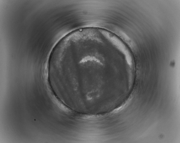 X0000102540892200808221926