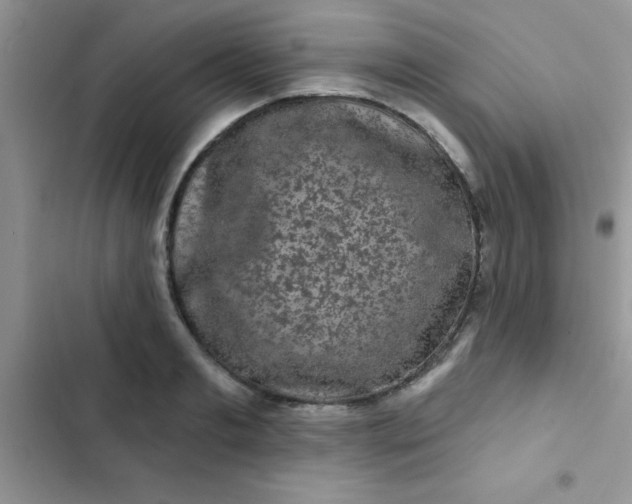 X0000102540893200808221926
