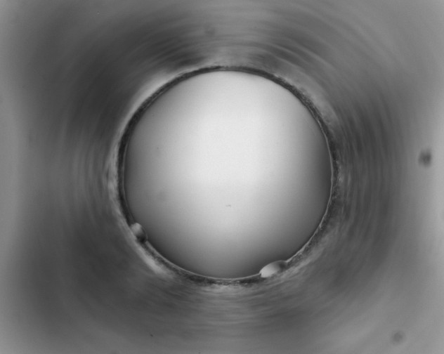 X0000102540894200808221926