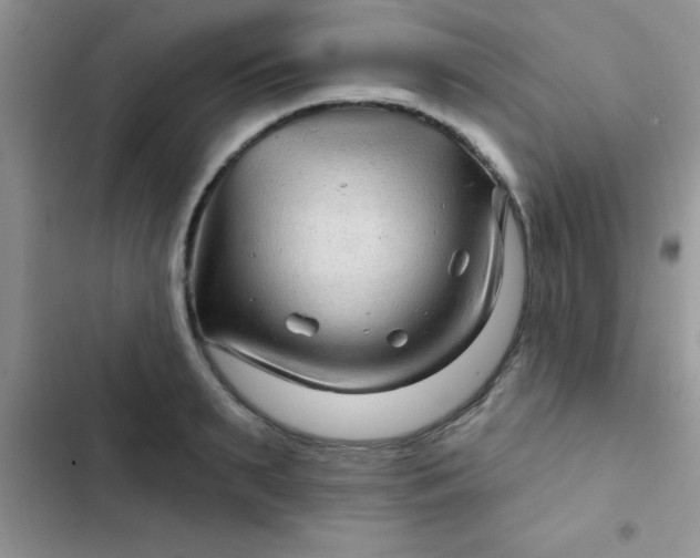 X0000102540895200808221926
