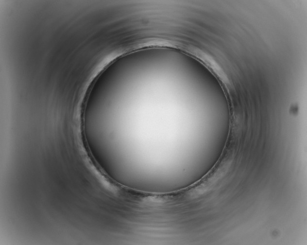 X0000102540898200808221926