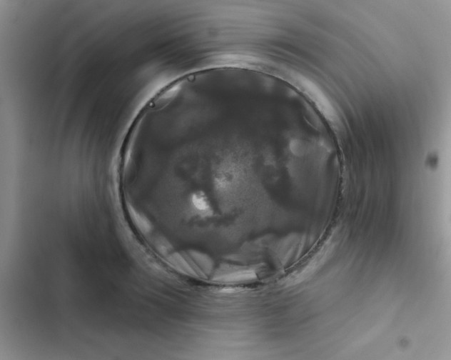 X0000102540899200808221926