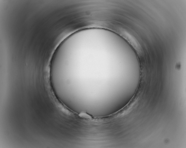 X0000102540900200808221926