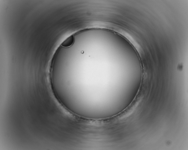 X0000102540901200808221926