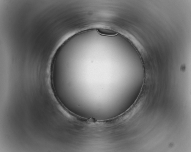 X0000102540902200808221926