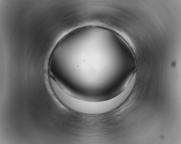 X0000102540903200808221926