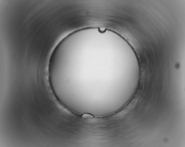 X0000102540904200808221926