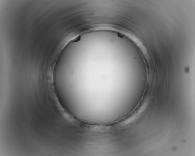X0000102540905200808221926