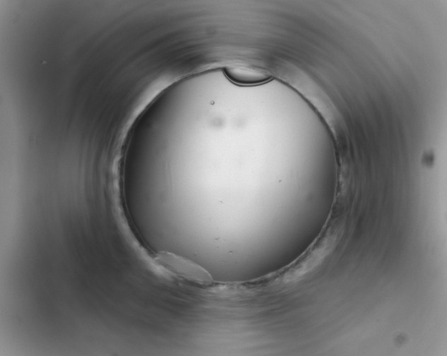 X0000102540906200808221926