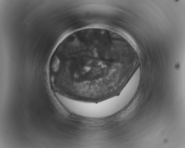 X0000102540907200808221926