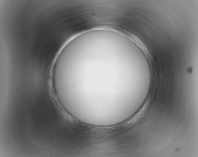X0000102540908200808221926
